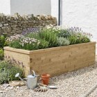 Extra Langes Hochbeet - Hoch / 300 x 112,5 x 75 cm