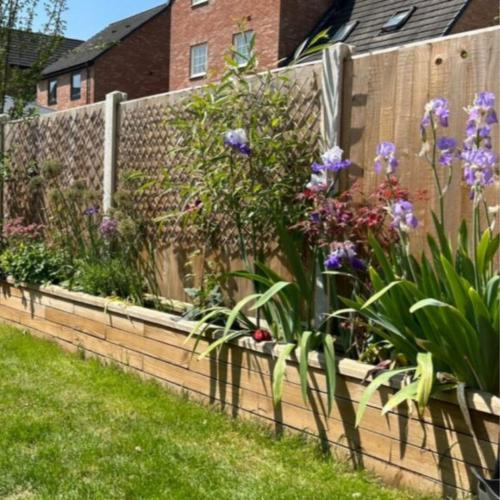 Der Garten von Beth