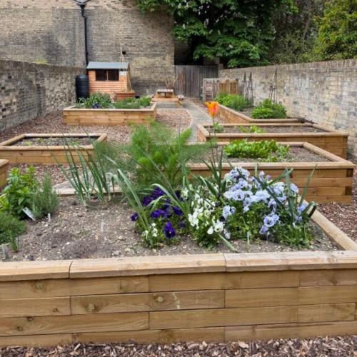 Gartenprojekt – Emmanuel College in Cambridge