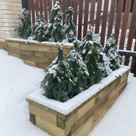 Gartentipps für Januar
