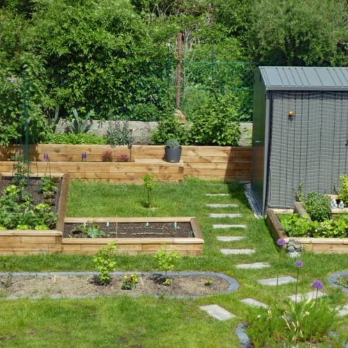 Michaels Gemüsegarten